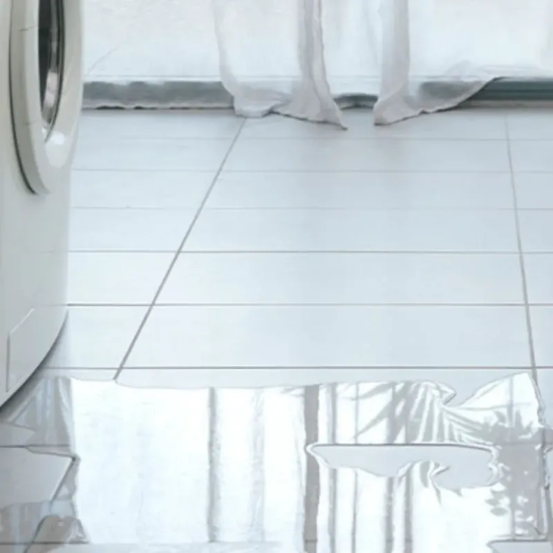 Appliance Leak Cleanup in Perezville, TX