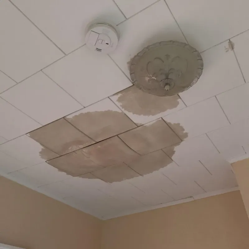 Ceiling Water Damage Repair in Perezville, TX