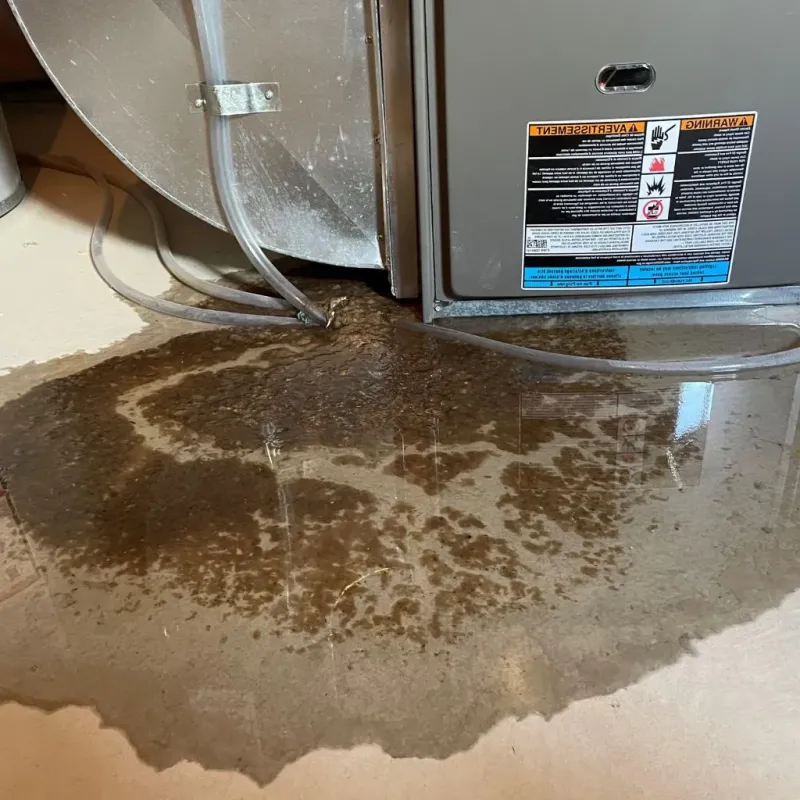 Pipe Burst and Leak Restoration in Perezville, TX