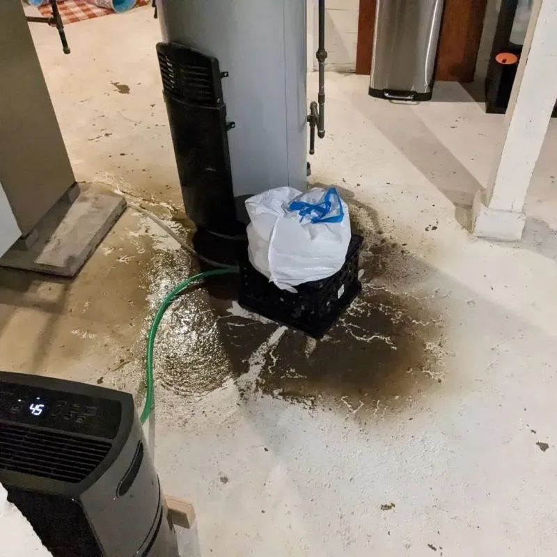 Sewage Backup Cleanup Service in Perezville, TX